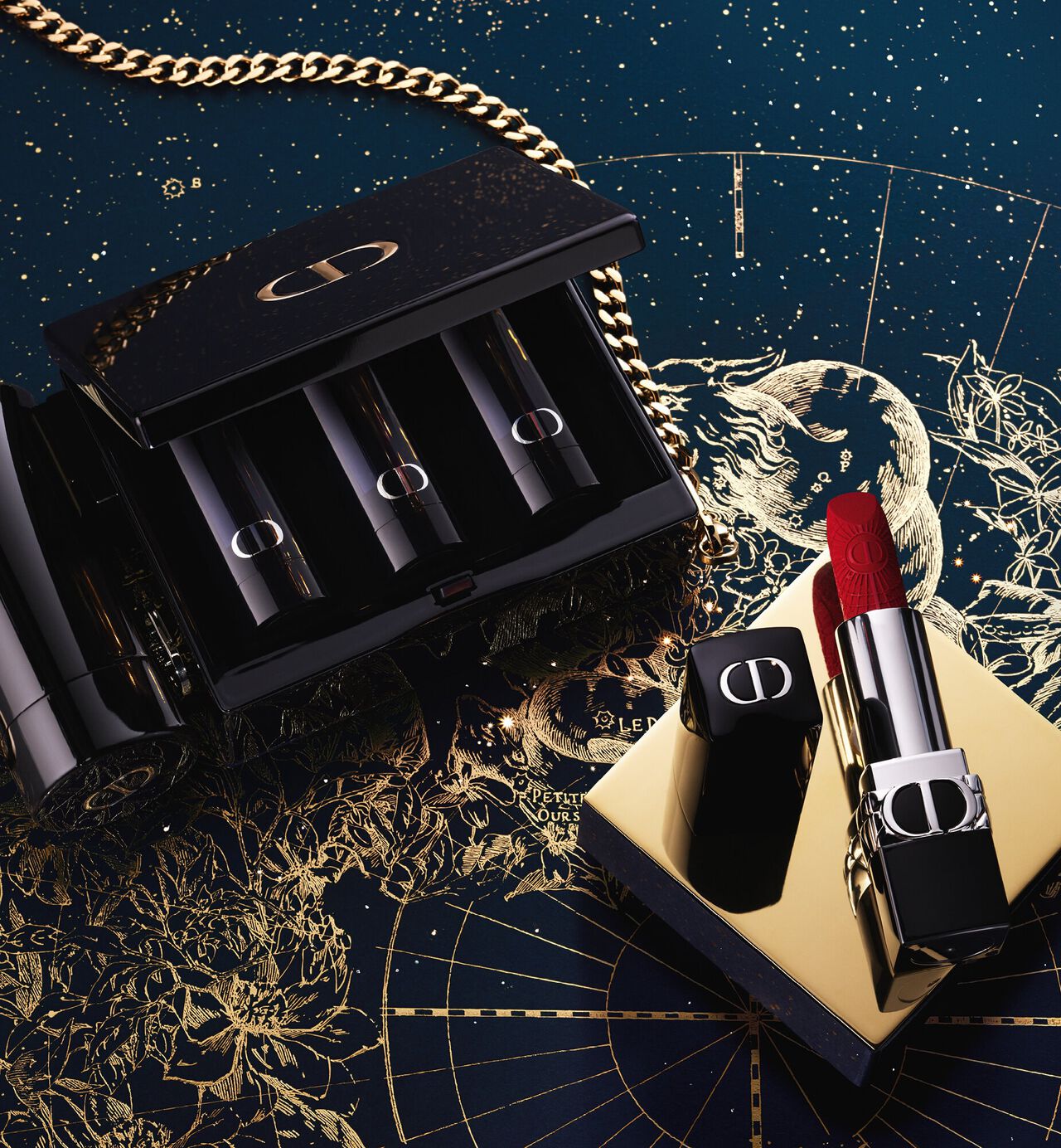 Dior Handbag Case And Lipstick Holder Rouge Collection 4pcs