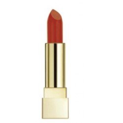 rossetto-yves-saint-laurent-rouge-pur-couture-the-mats-n-202-tester